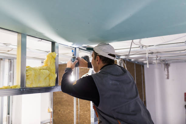 Best Fiberglass Insulation in Runge, TX
